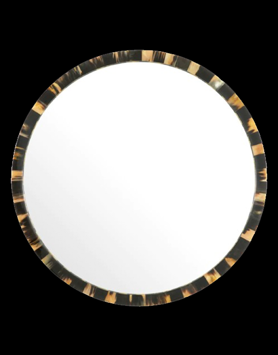horn mirror